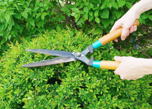 Landscaping Company, Langhorne, PA 19047 | Ground Up Landscaping